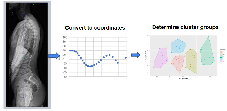 Our Vision: AI for Smarter Orthopaedic Care